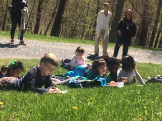 Students on grass outside working.