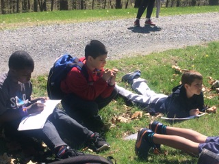 More students working on grass outside