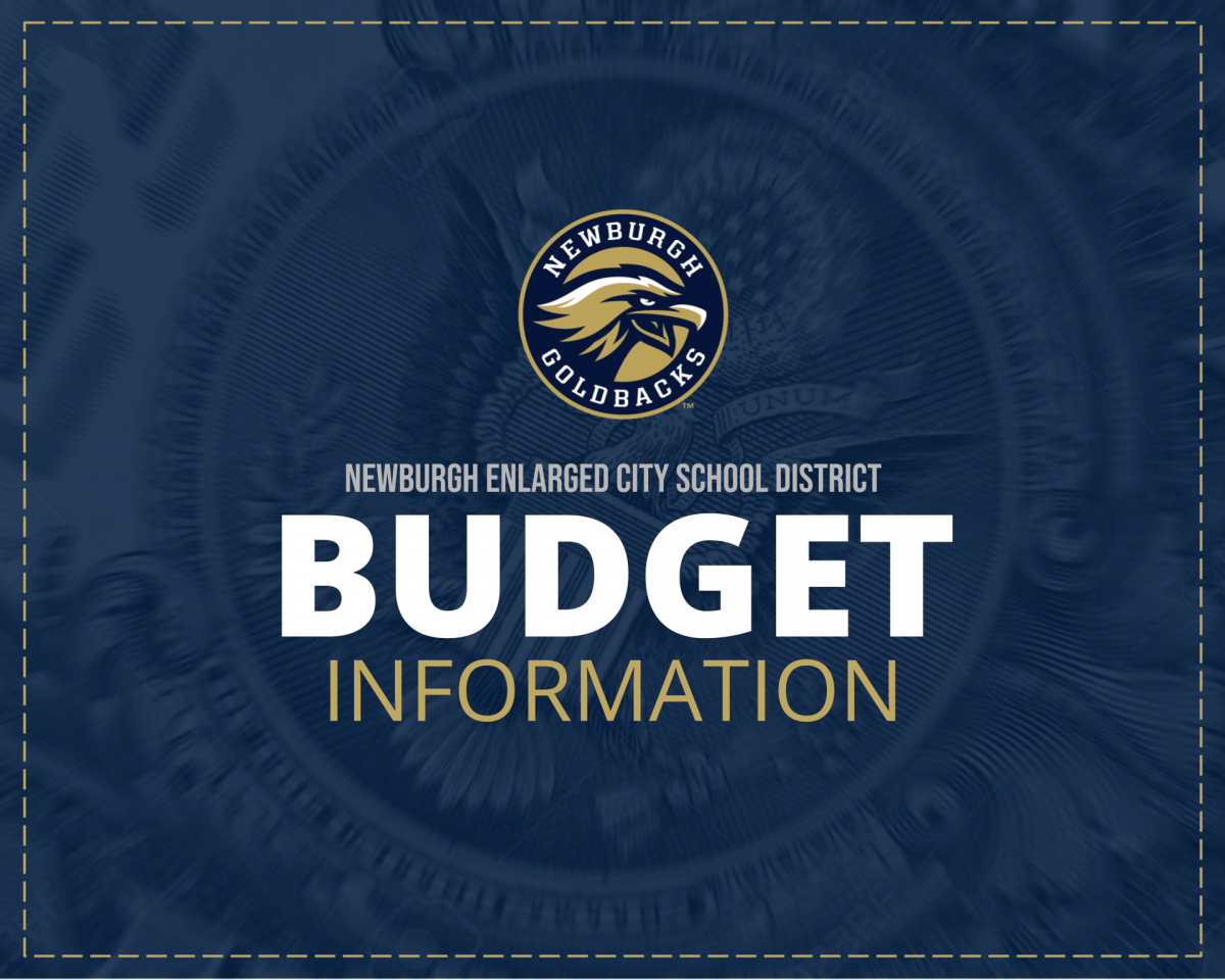 Thumbnail for NECSD Budget Information
