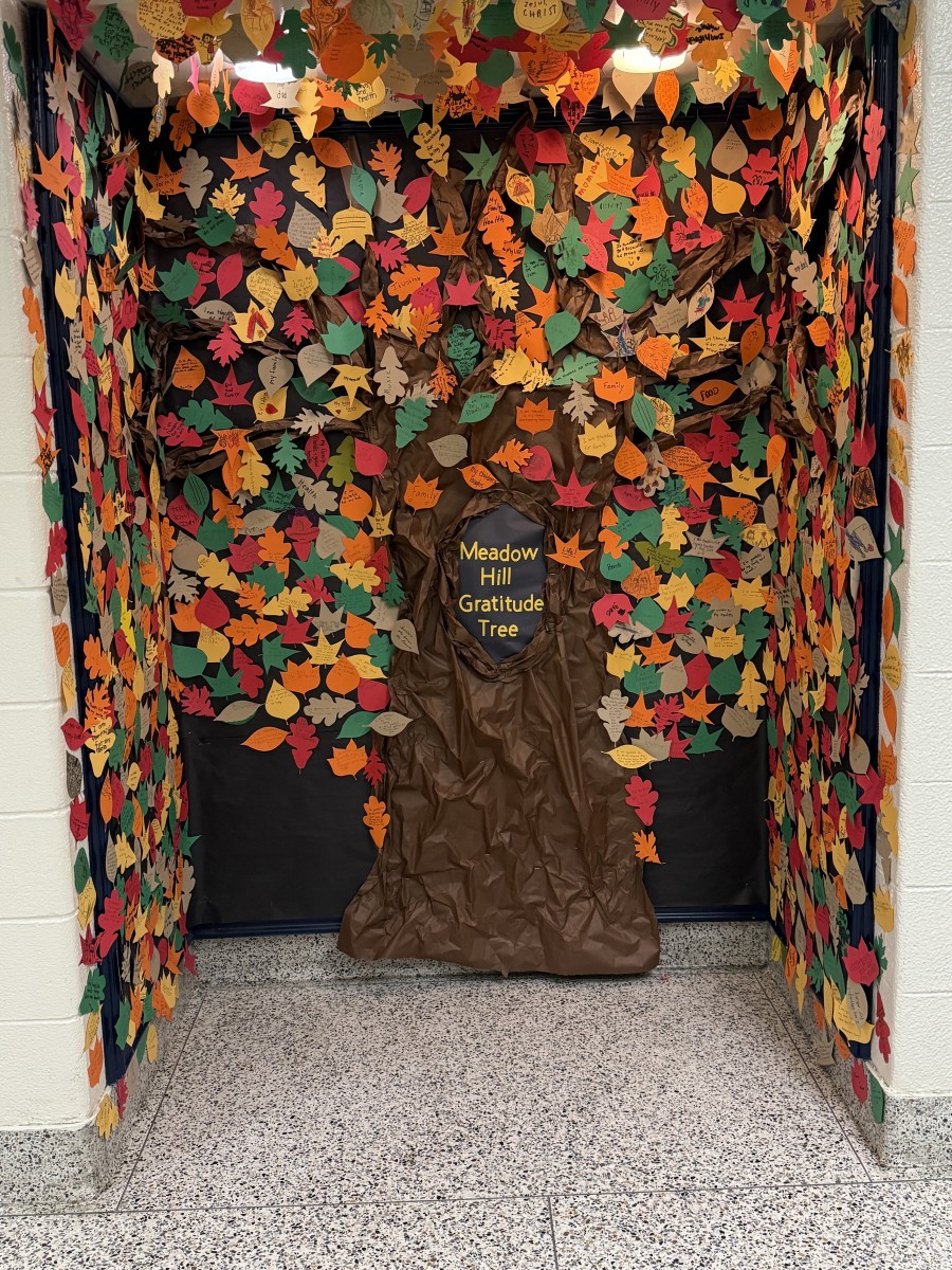 Thumbnail for Meadow Hill School Creates a Gratitude Tree of Thanks