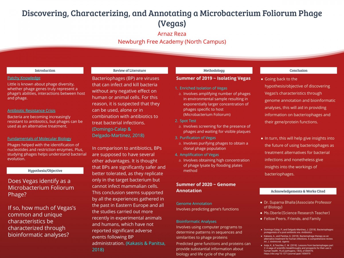 Power board presentation by Arnaz Reza: Discovering, Characterizing, and Annotating a Microbacterium Foliorum Phage (Vegas)