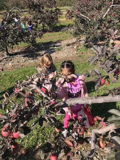 Fostertown at Lawrence Farm