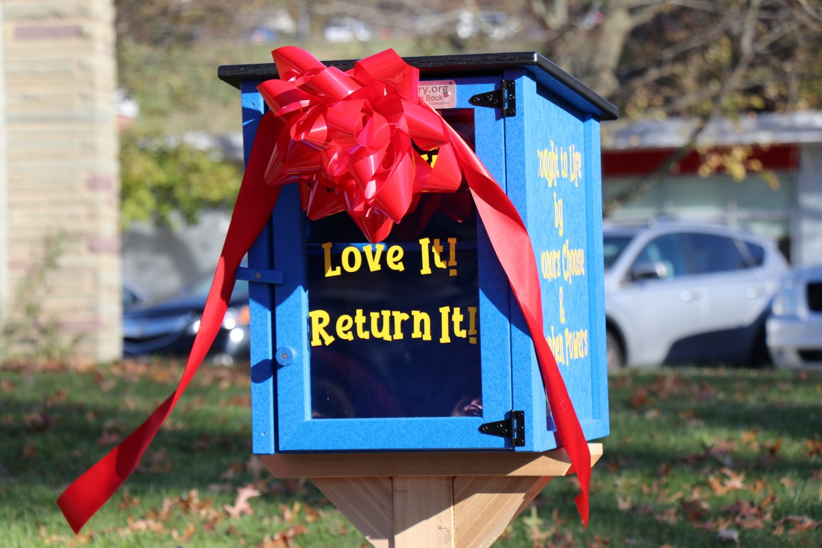 Photo of the lending library box.
