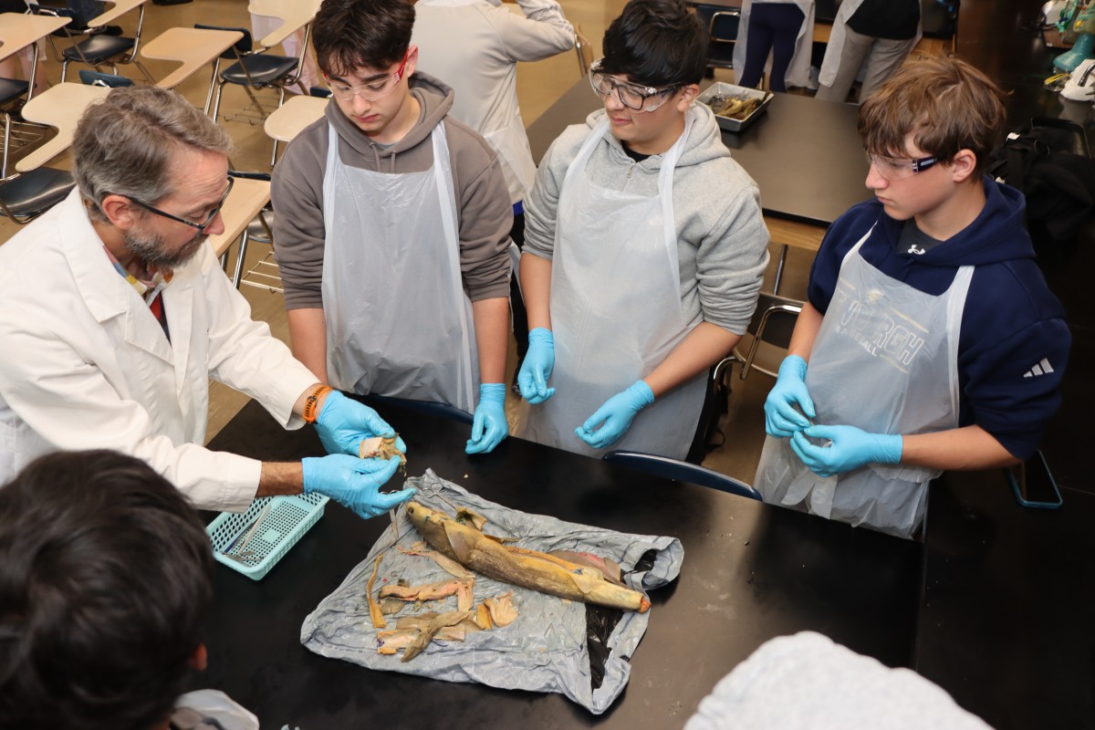 Thumbnail for Exploring Evolution Through Hands-On Science at NFA
