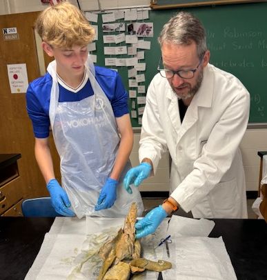 Thumbnail for NFA Scientists Learn About Vertebrate Biology and Comparative Anatomy