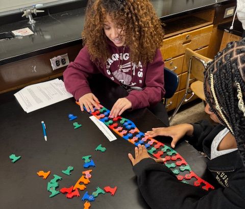 Thumbnail for Science in Action: From 3D-Printed DNA to Real-World Diagnostics