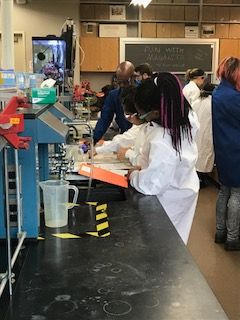 Students work in lab