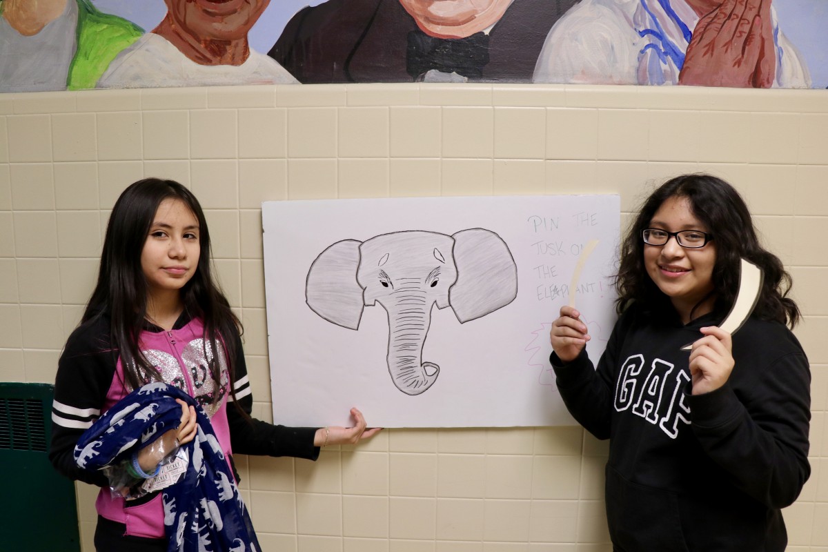 Students pose next to pin the tusks on the elephant