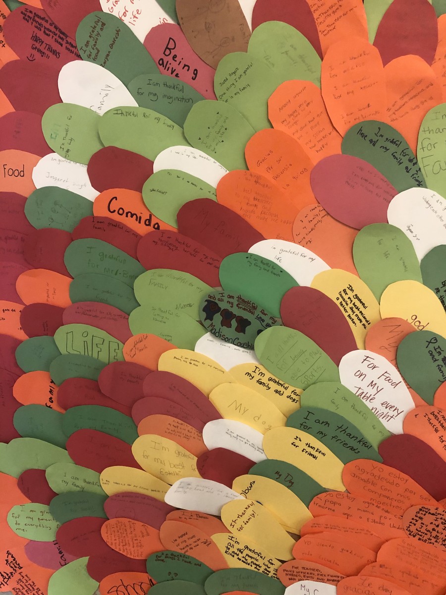 South Middle School Grateful Turkey feathers