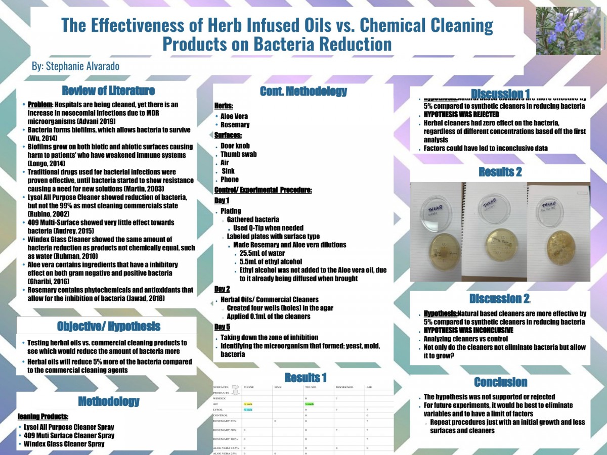 Stephanie Alvarado: The Effectiveness of Herb Infused Oils vs. Chemical Cleaning Products on Bacteria Reduction