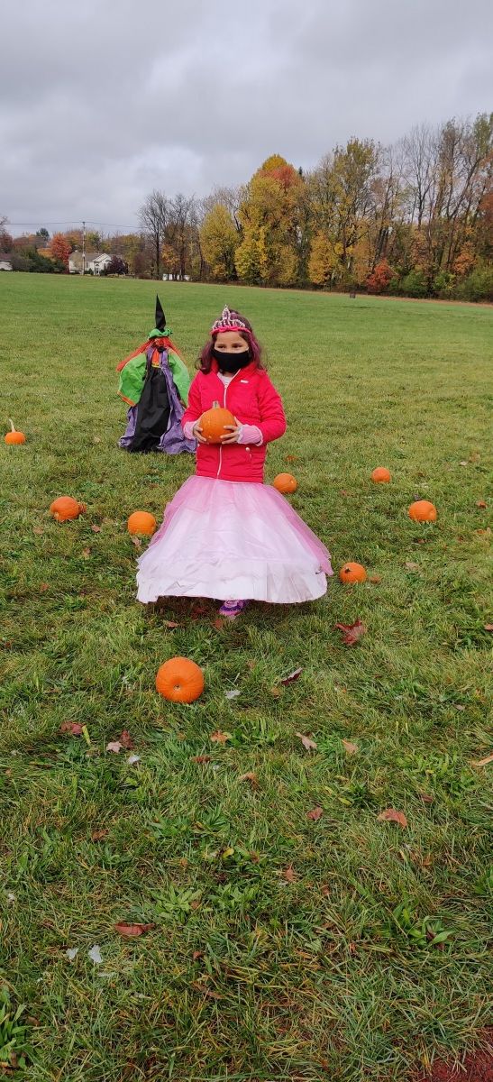 Student picks pumpkin from pumpkin patch.