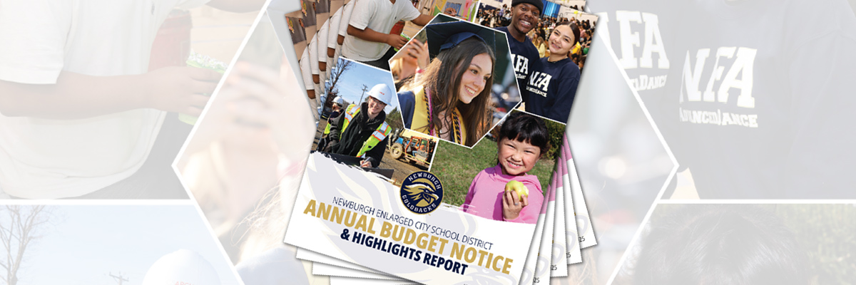 budget mailer