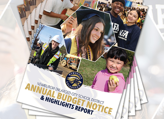 Thumbnail for Check Your Mailbox! NECSD Annual Budget Notice & Highlights Report