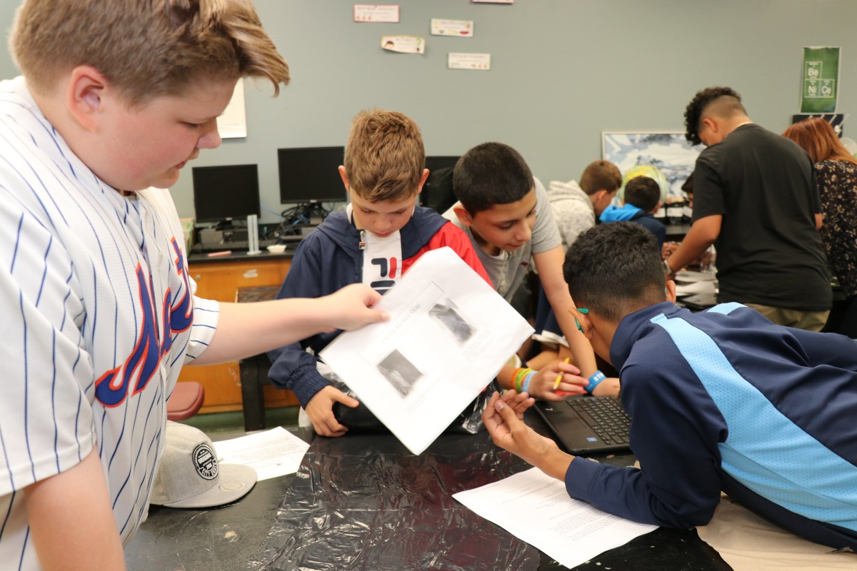 Students work together to build a mosquito trap.