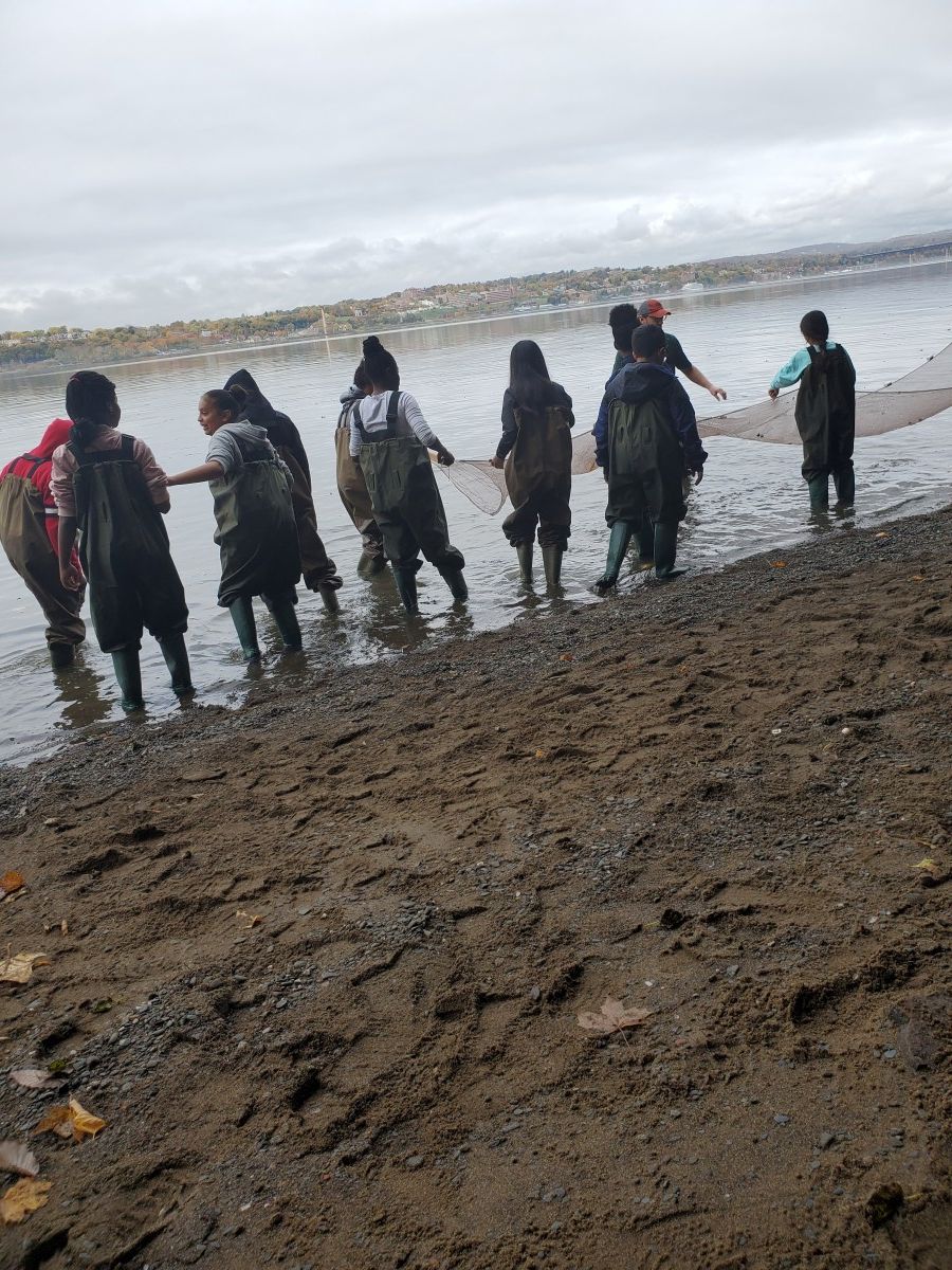 Scholars in the water studying the river.