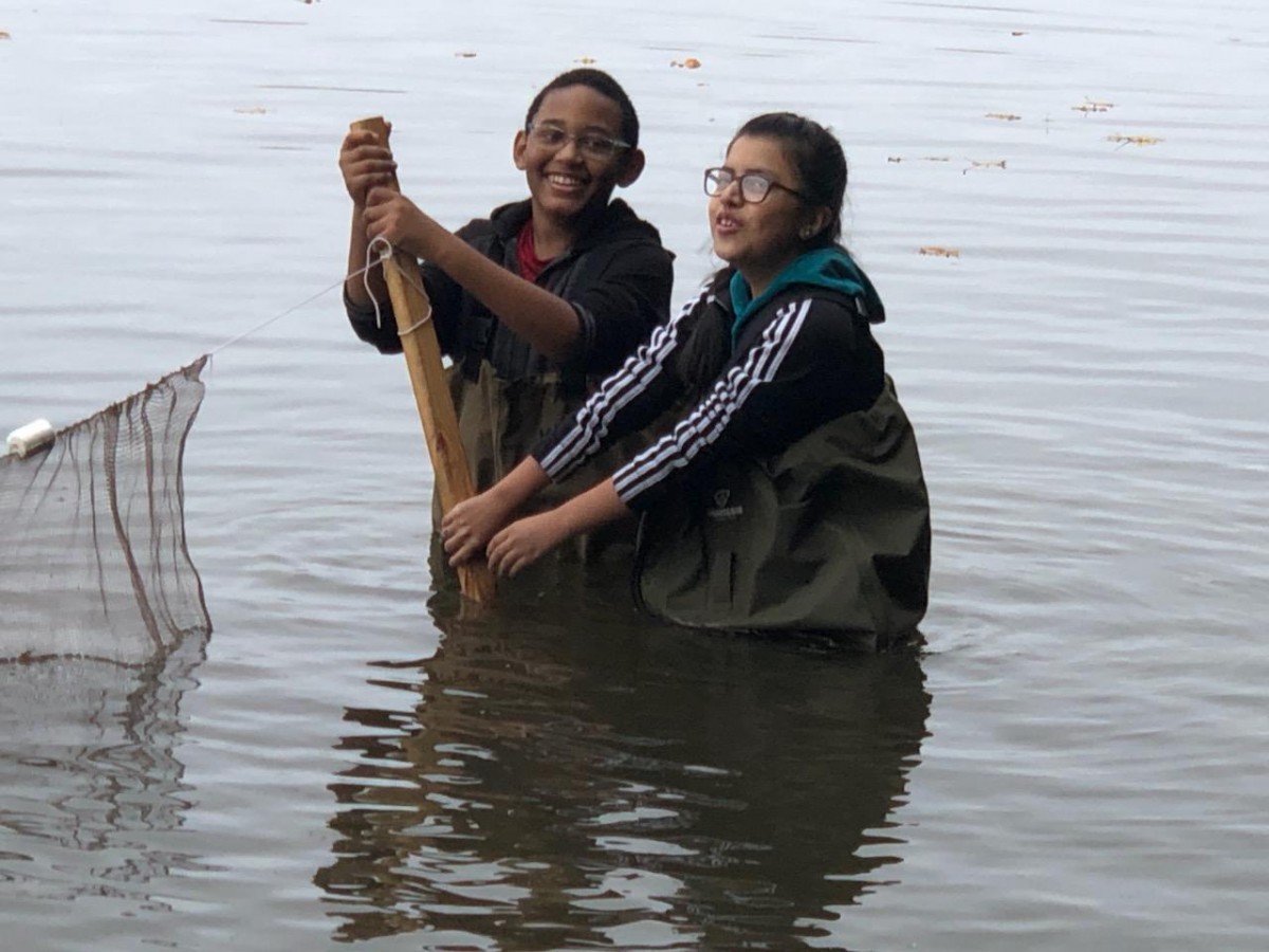 Scholars in the water studying the river.