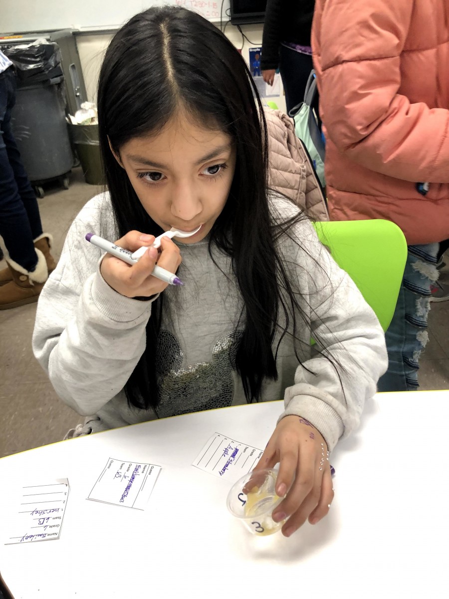 Student testing and guessing baby food during game.