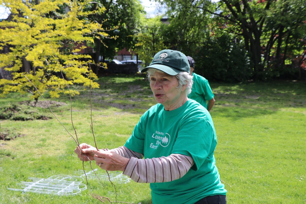 HOH Tree Planting