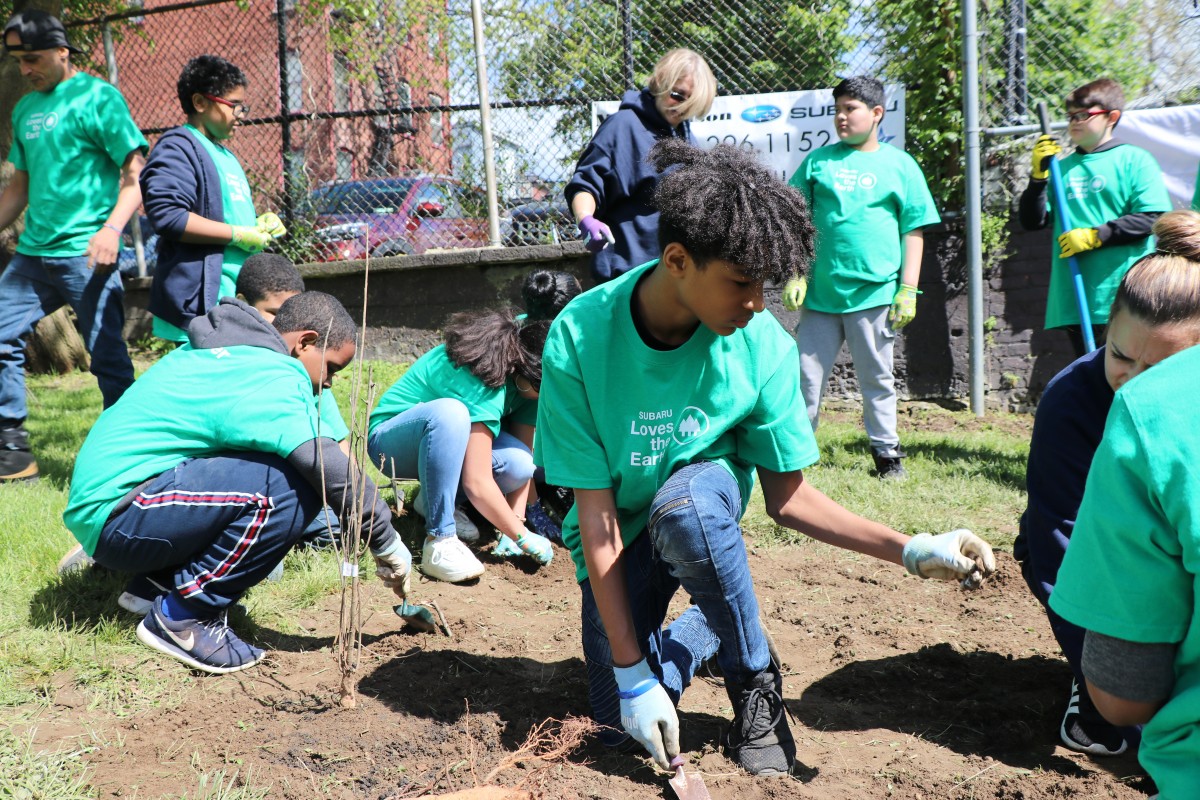 HOH Tree Planting