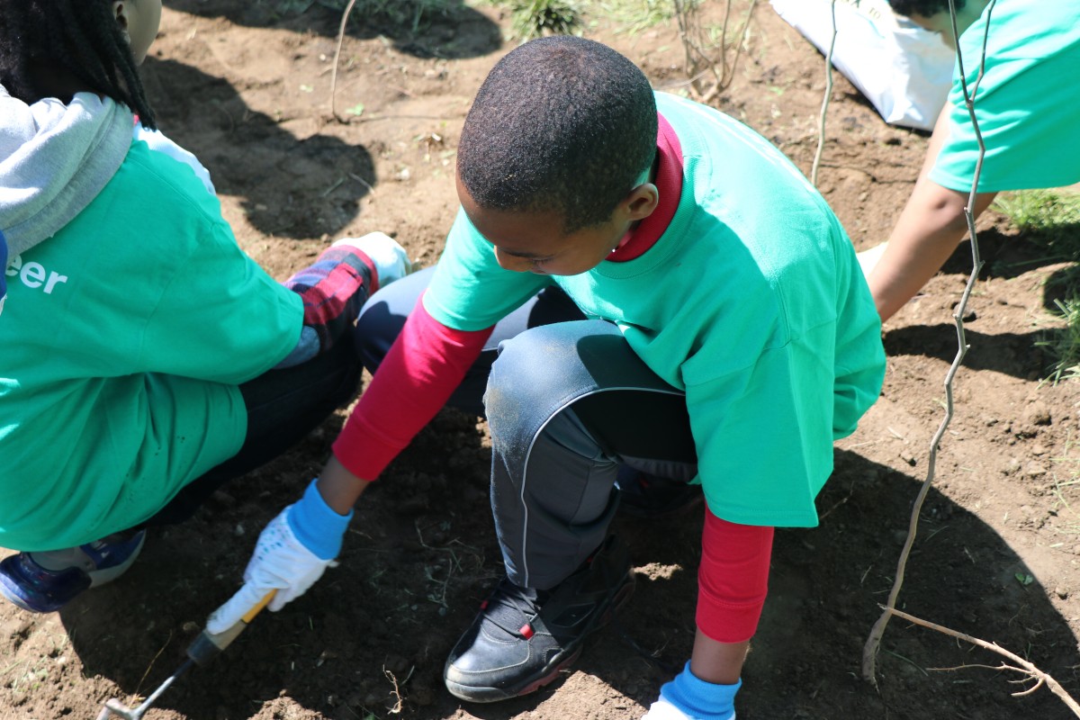 HOH Tree Planting