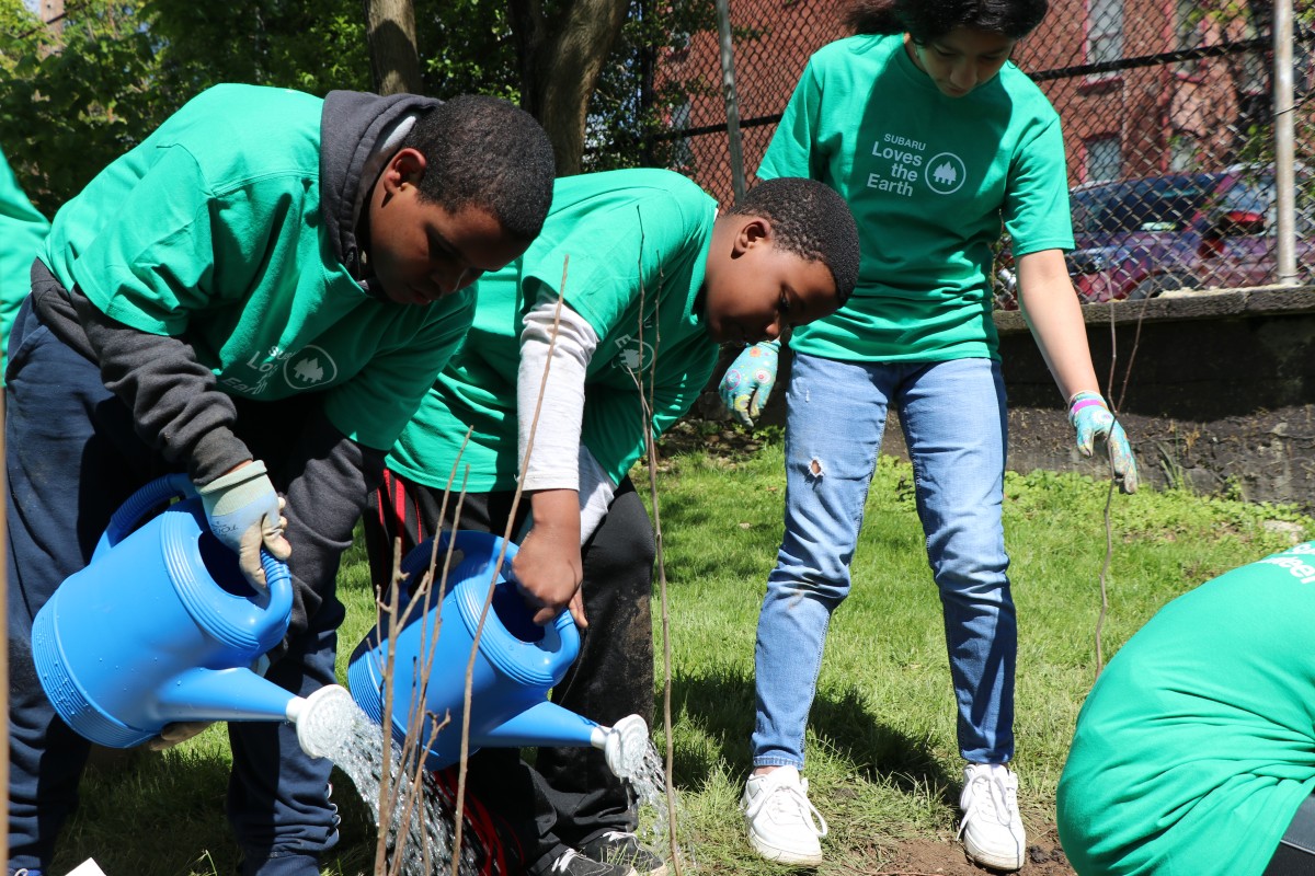 HOH Tree Planting