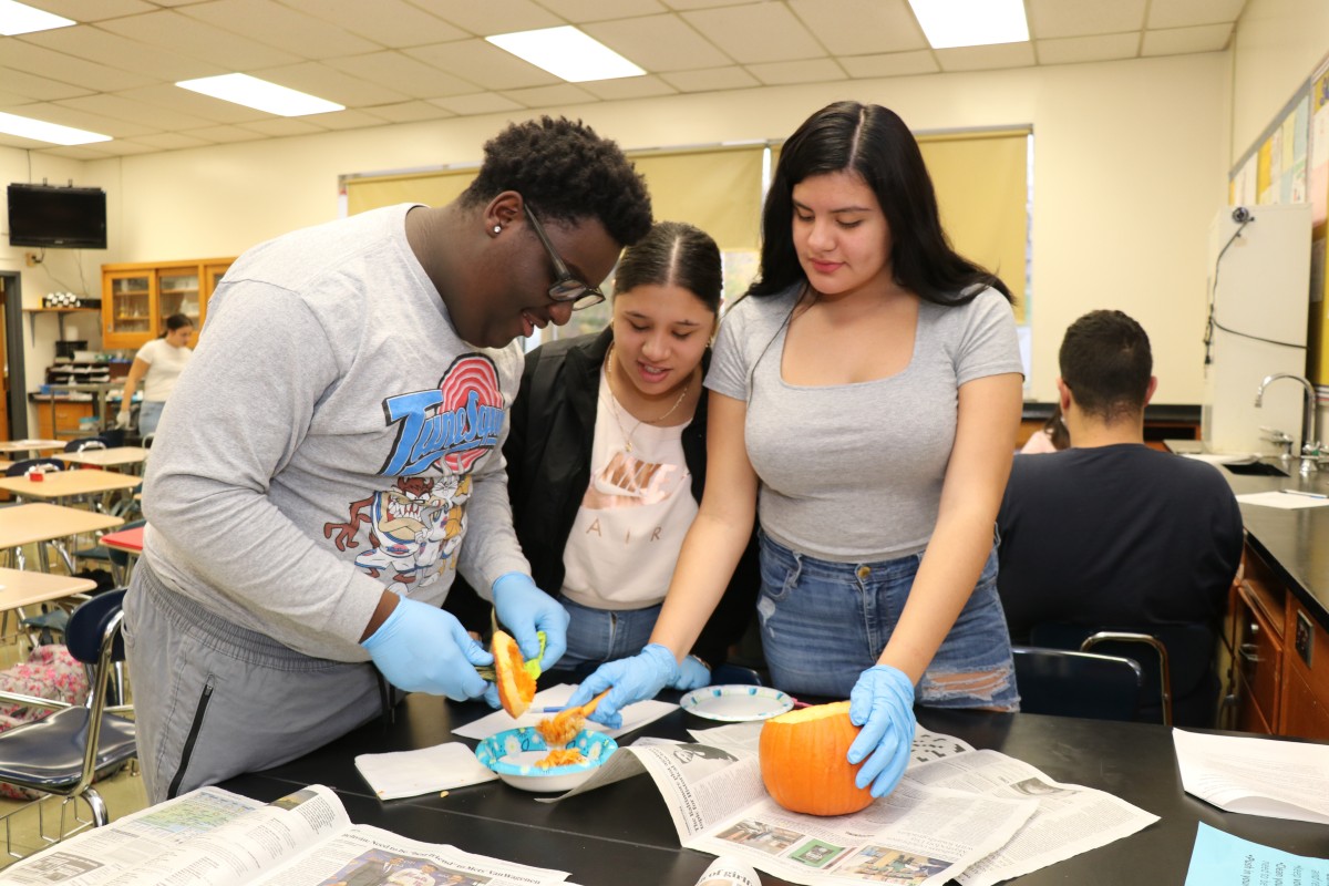 Students dissecting a pumpkin.