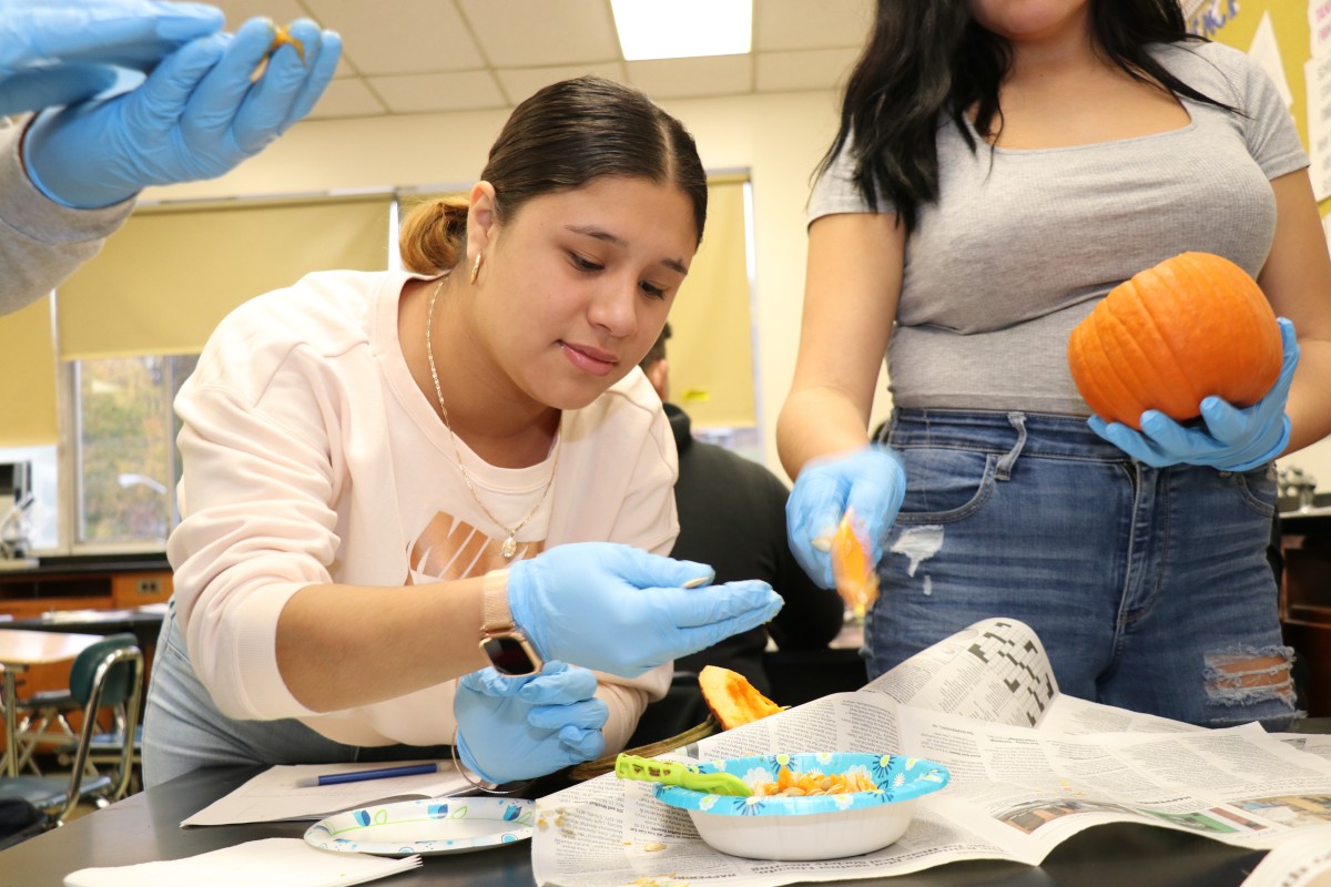 Students dissecting a pumpkin.