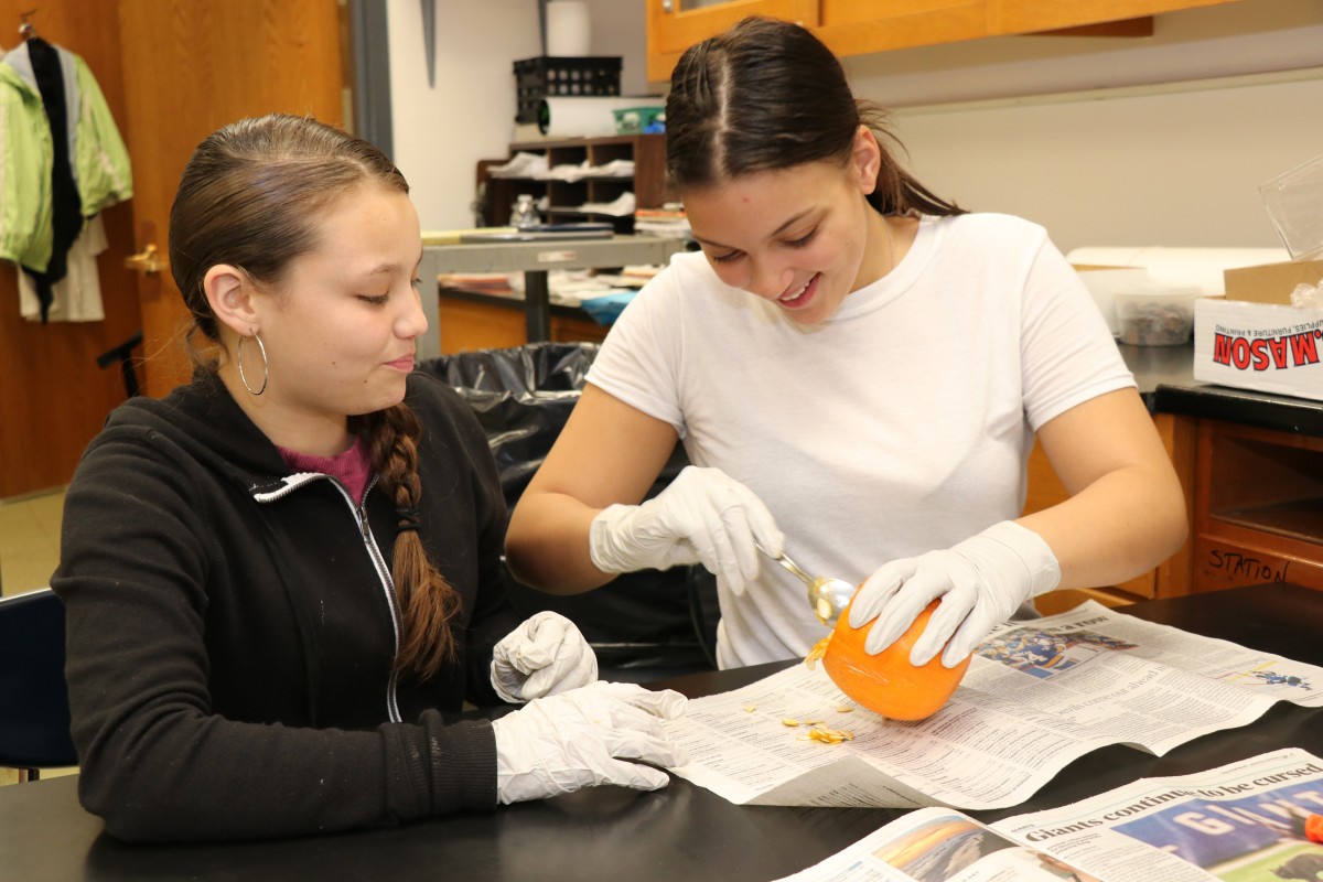 Students dissecting a pumpkin.