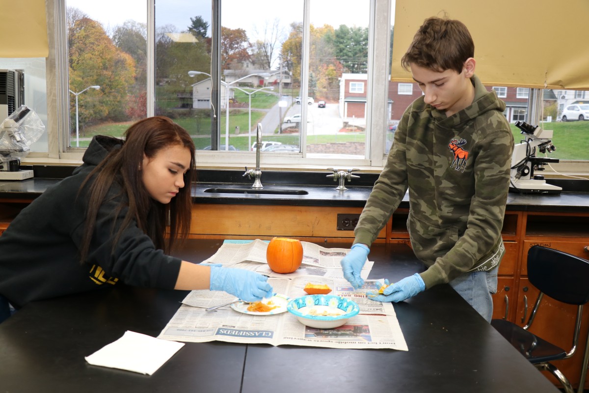 Students dissecting a pumpkin.