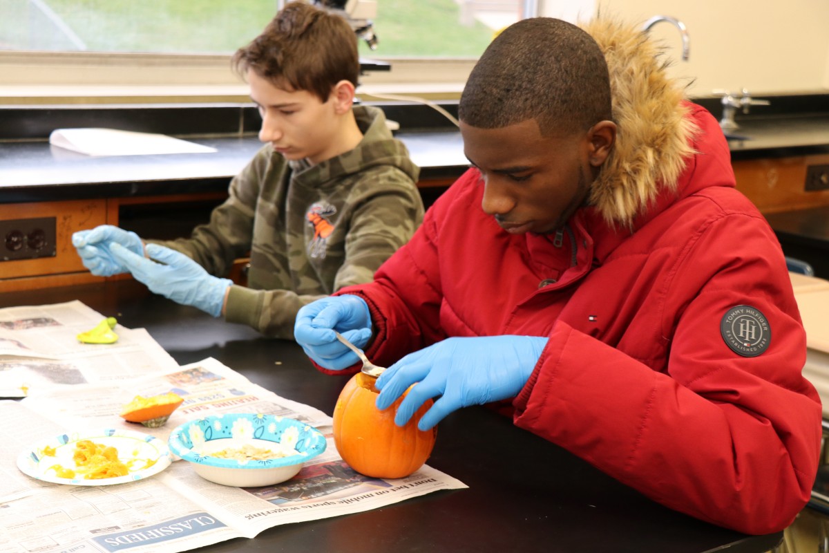 Students dissecting a pumpkin.