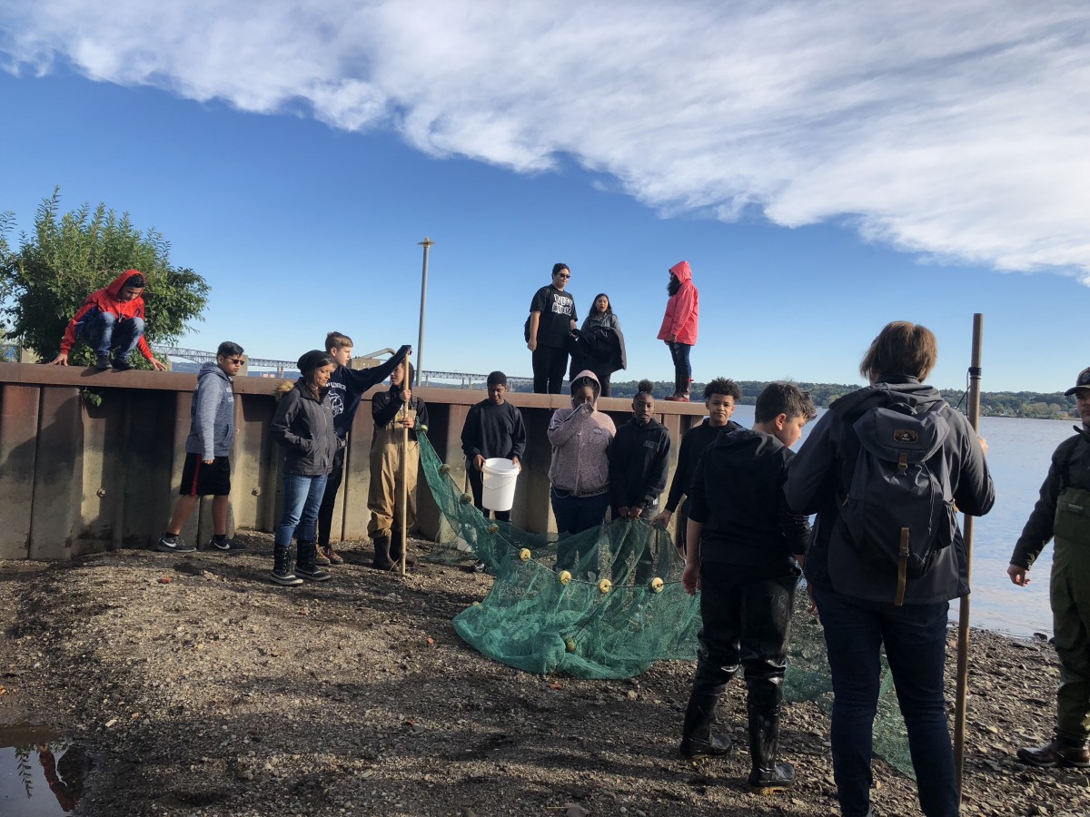 Students working with nets to collect fish for research