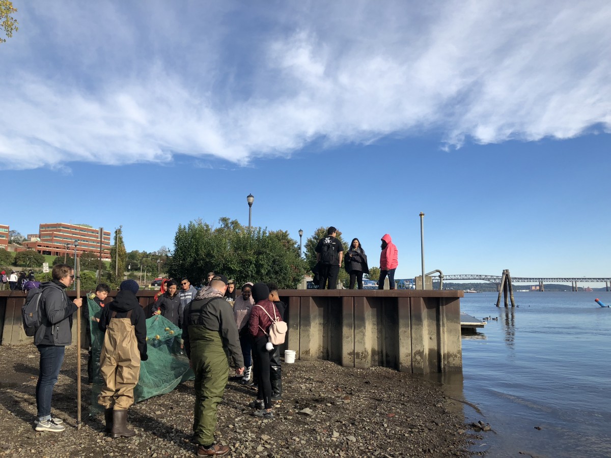 Students working with nets to collect fish for research