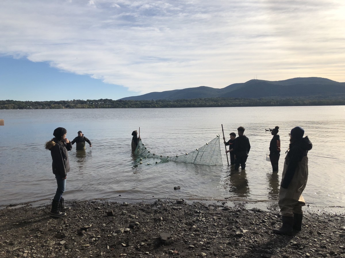 Students working with nets to collect fish for research