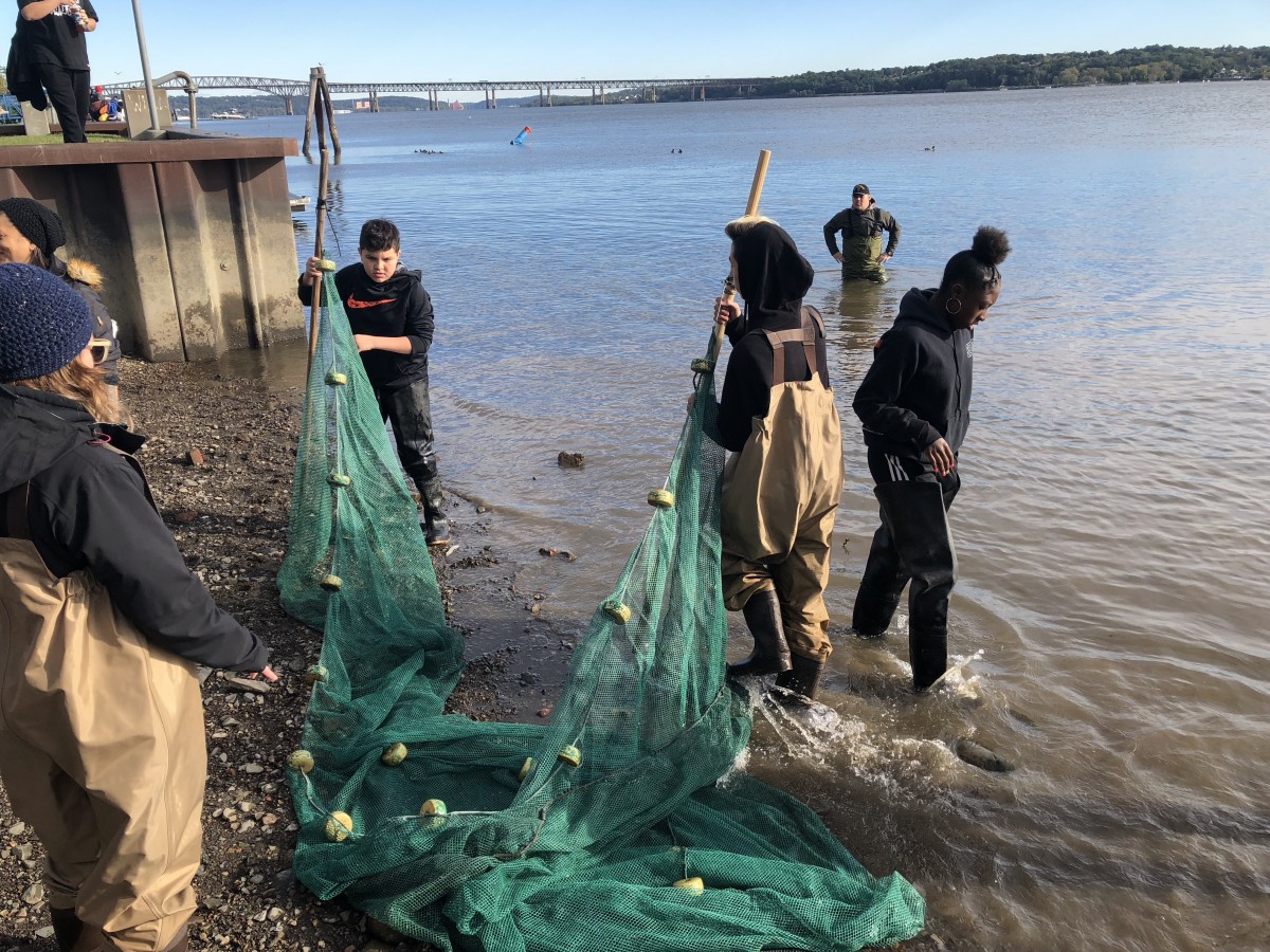 Students working with nets to collect fish for research