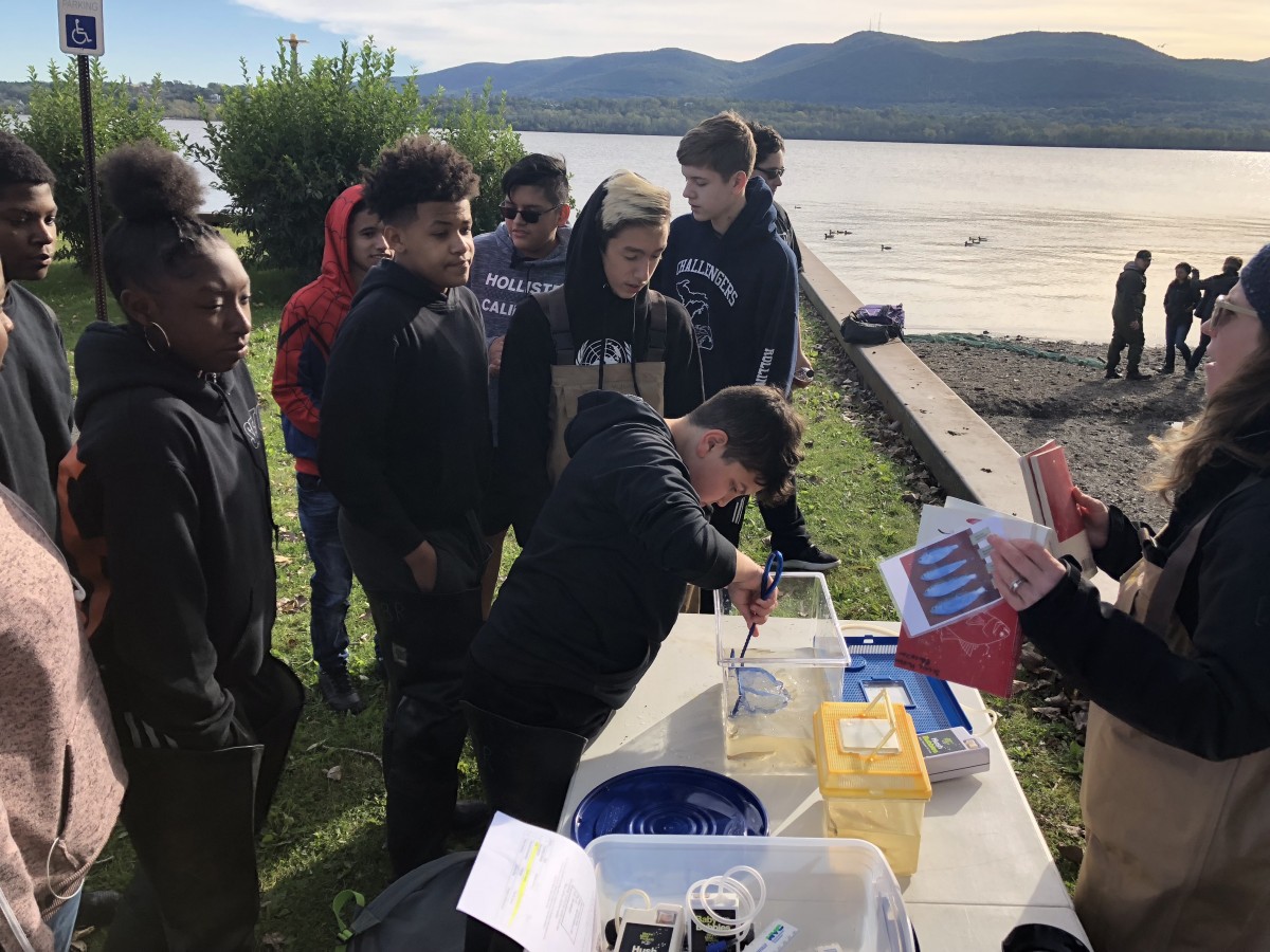 Students working with nets to collect fish for research