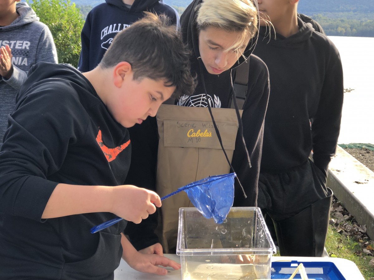 Students examining fish from the nets