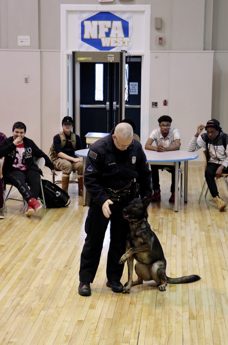 Officer works with K9