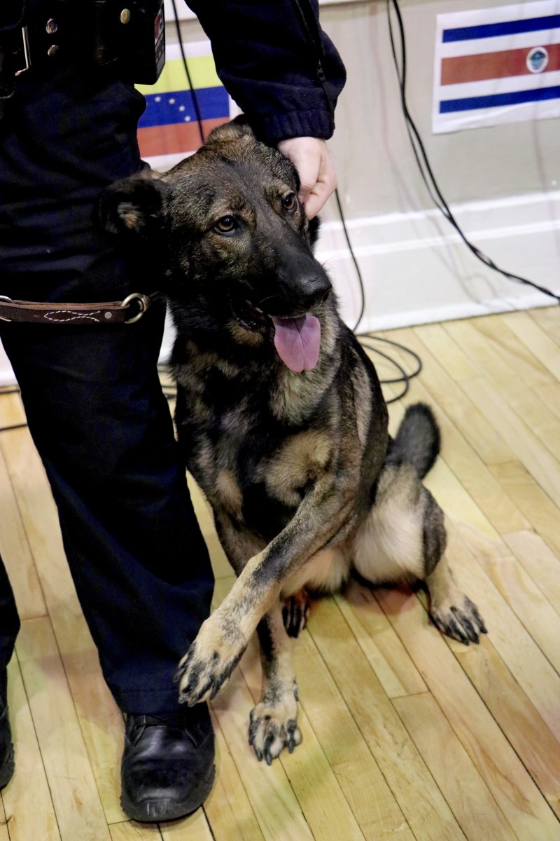 Officer works with K9